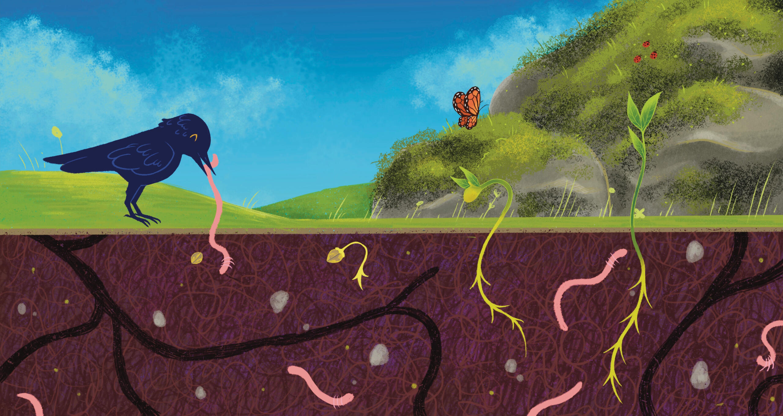 Spring Has Sprung Illustration Spring Has Sprung Illustration